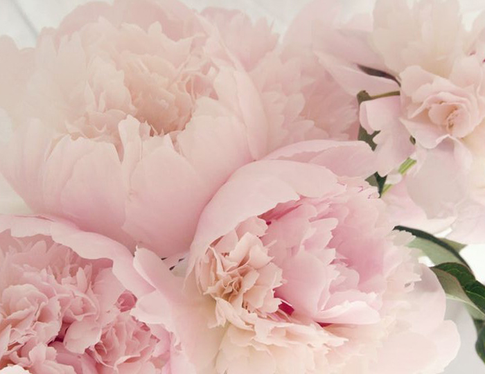 Pink chrysanthemum Flower Bouquet - Spree Designs